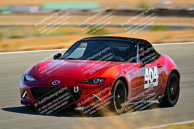 media/Oct-05-2024-Extreme Speed (Sat) [[dcd4a721fe]]/High Inter/Session 3 (Bowl)/